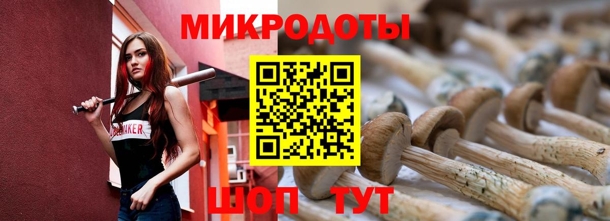 Псилоцибиновые грибы GOLDEN TEACHER Кимры