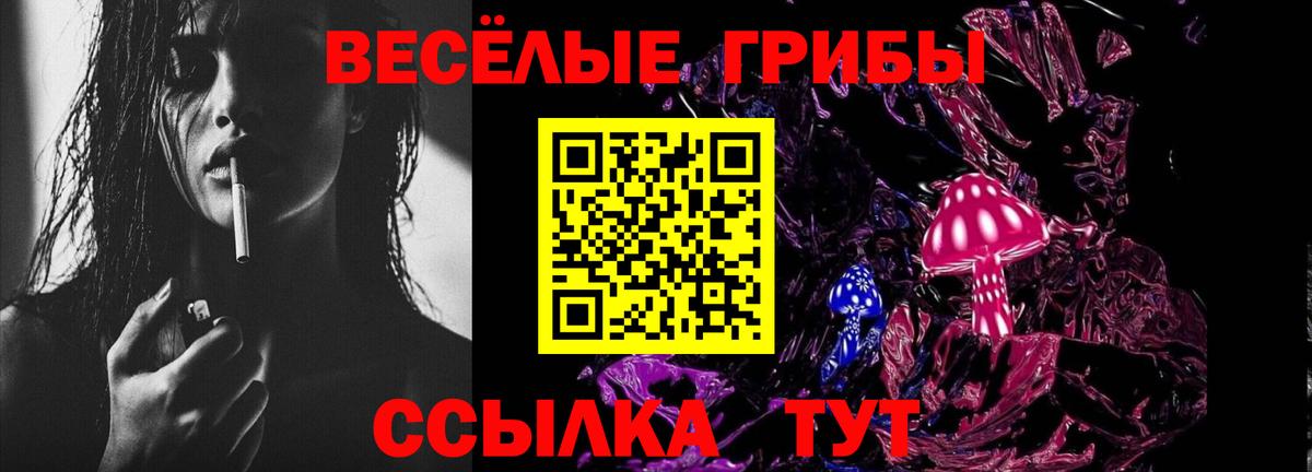 Псилоцибиновые грибы прущие грибы  Псилоцибиновые грибы MAGIC MUSHROOMS  Вход с VPN  Кимры 