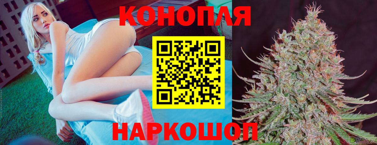 Бошки марихуана MAZAR Кимры
